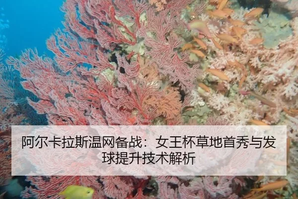 a-er-ka-la-si-wen-wang-bei-zhan-nv-wang-bei-cao-di-shou-xiu-yu-fa-qiu-ti-sheng-ji-shu-jie-xi-2-700.jpg