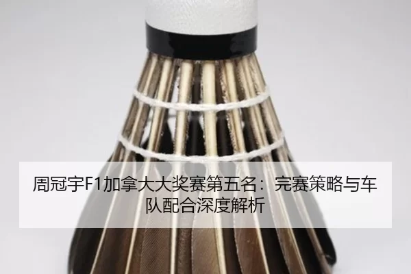 zhou-guan-yu-jia-na-da-da-jiang-sai-di-wu-ming-wan-sai-ce-lve-yu-che-dui-pei-he-shen-du-jie-xi-2-858.jpg